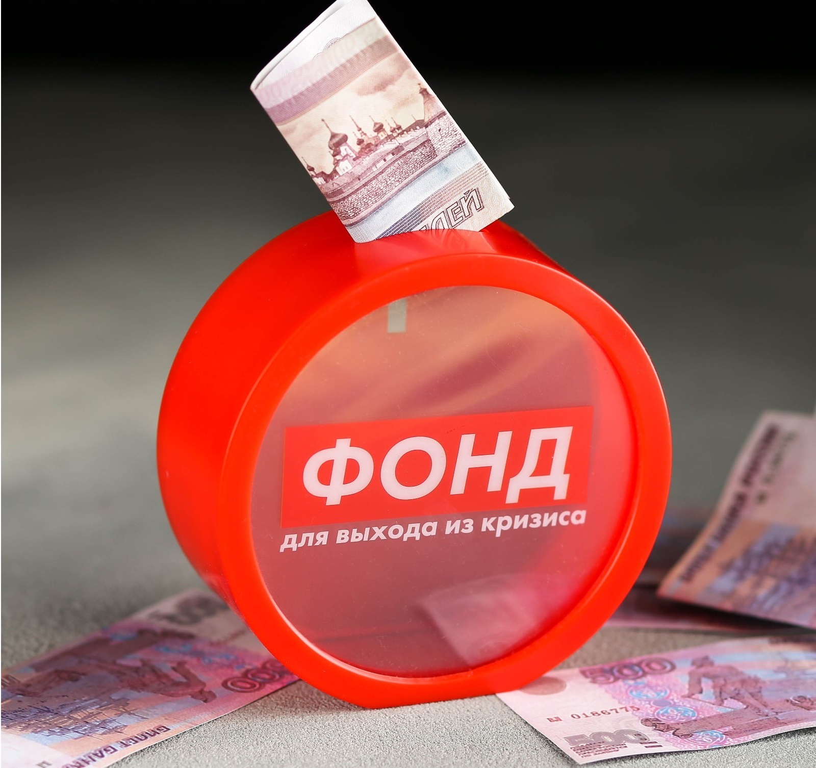 копилка «фонд для выхода из кризиса», 11,5см 4102755