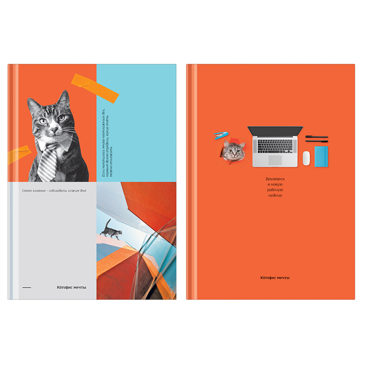 бизнес-блокнот а5, 80л., bg "котофис мечты", soft-touch ламинация