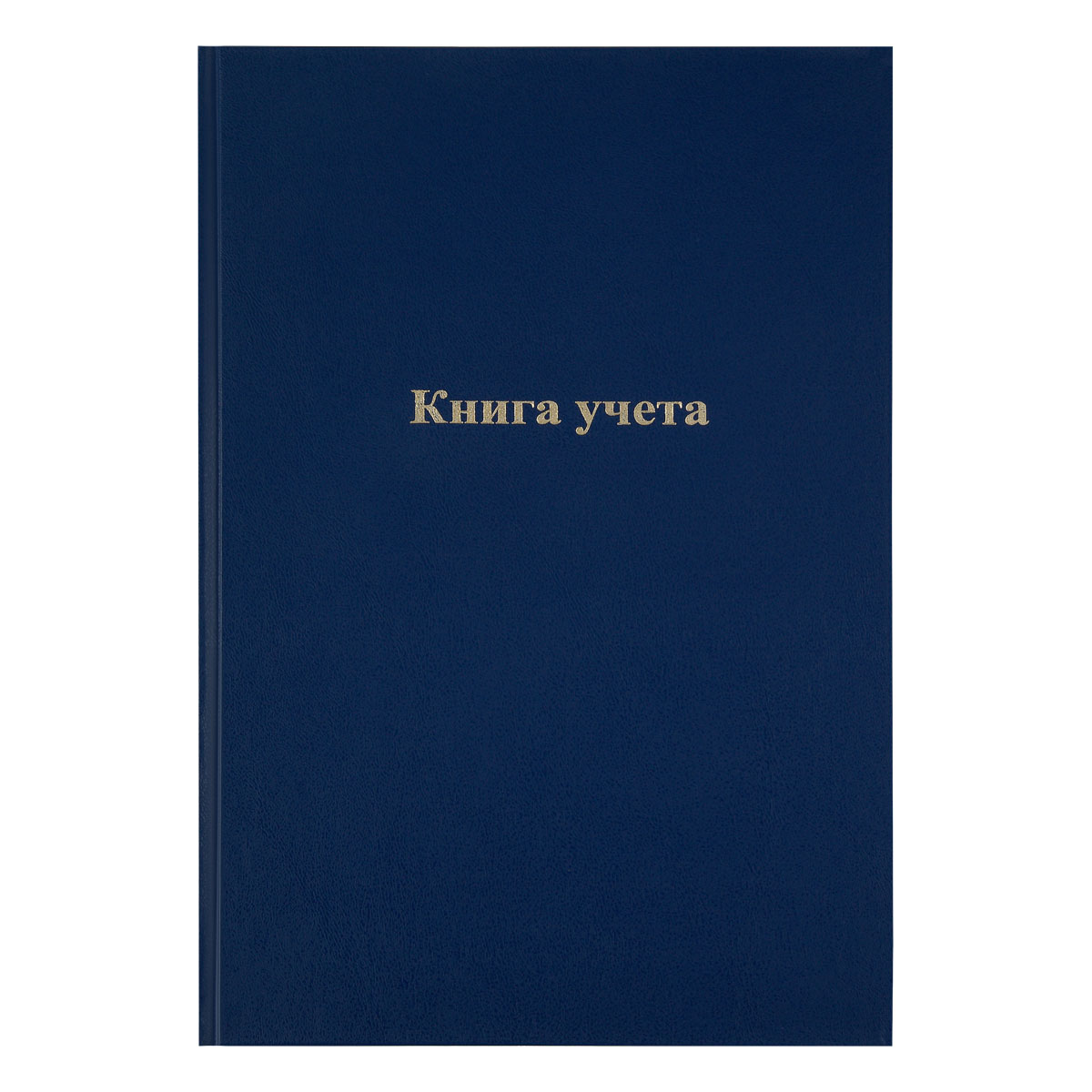 книга учета officespace, а4 192л., клетка, 200*290мм, бумвинил, синий, блок офсет.246158