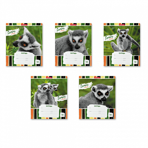 тетрадь 18л. линия erichkrause lemur style 49190