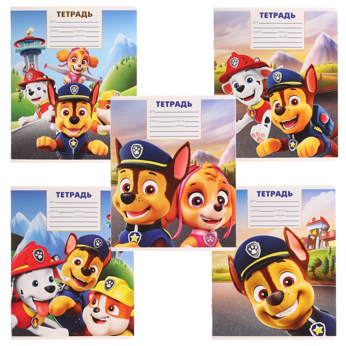 тетрадь 12л. клетка микс paw patrol 9431519