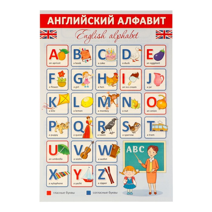 плакат "английский алфавит" 34х49 см