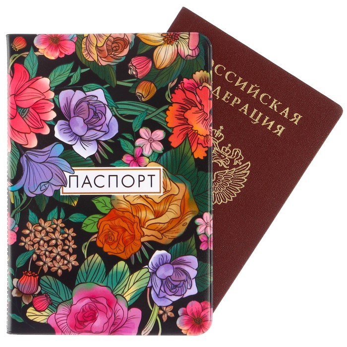 паспортная обложка, принцессы