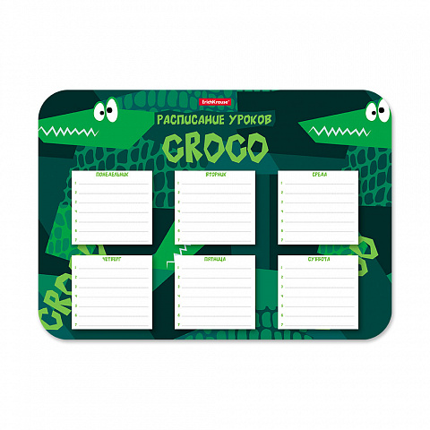 расписание уроков пластиковое erichkrause real croco, а4