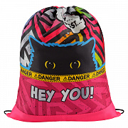 мешок для обуви 1 отделение artspace "spy cat", 340*420мм