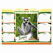 расписание уроков erichkrause lemur style, а3