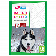 картон белый а4, artspace, 16л., немелованный, в папке