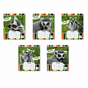 тетрадь 18л. линия erichkrause lemur style 49190