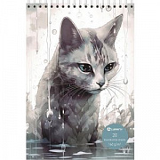 скетчбук дождь, а5, 20 л.,160 г/м2, металл.картон, черная и белая бумага, тв. подл