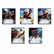 тетрадь 12л. линия erichkrause sport animals 64831