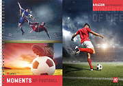 альбом для рисования 40л. а4 на гребне football, выб. уф-лак, блок-офсет 100 г/м
