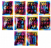 комплект тематических тетрадей 48л. 10предм. радужный металлик 9122